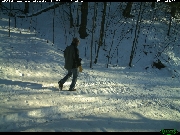 http://images.reconyx.com/gallery/thumb/2012-12-3115-33-41M3_3.JPG