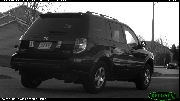 http://images.reconyx.com/gallery/thumb/IMG_0196.JPG