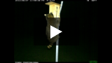 Raccoon Thief